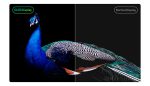 13,3" AMOLED 2K Display Waveshare HDMI/Type-C, 2560×1440 - Сенсорный дисплей