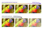 4,3" емкостный сенсорный QLED-дисплей 800 × 480 с интерфейсом DSI без корпуса